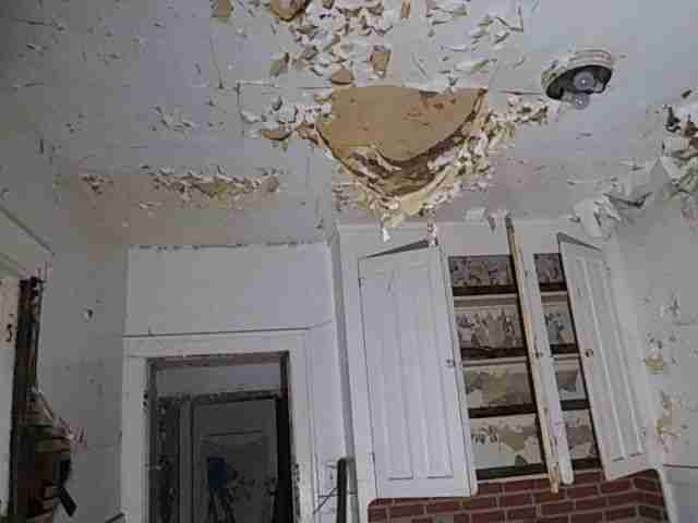 Testing again(56).jpg